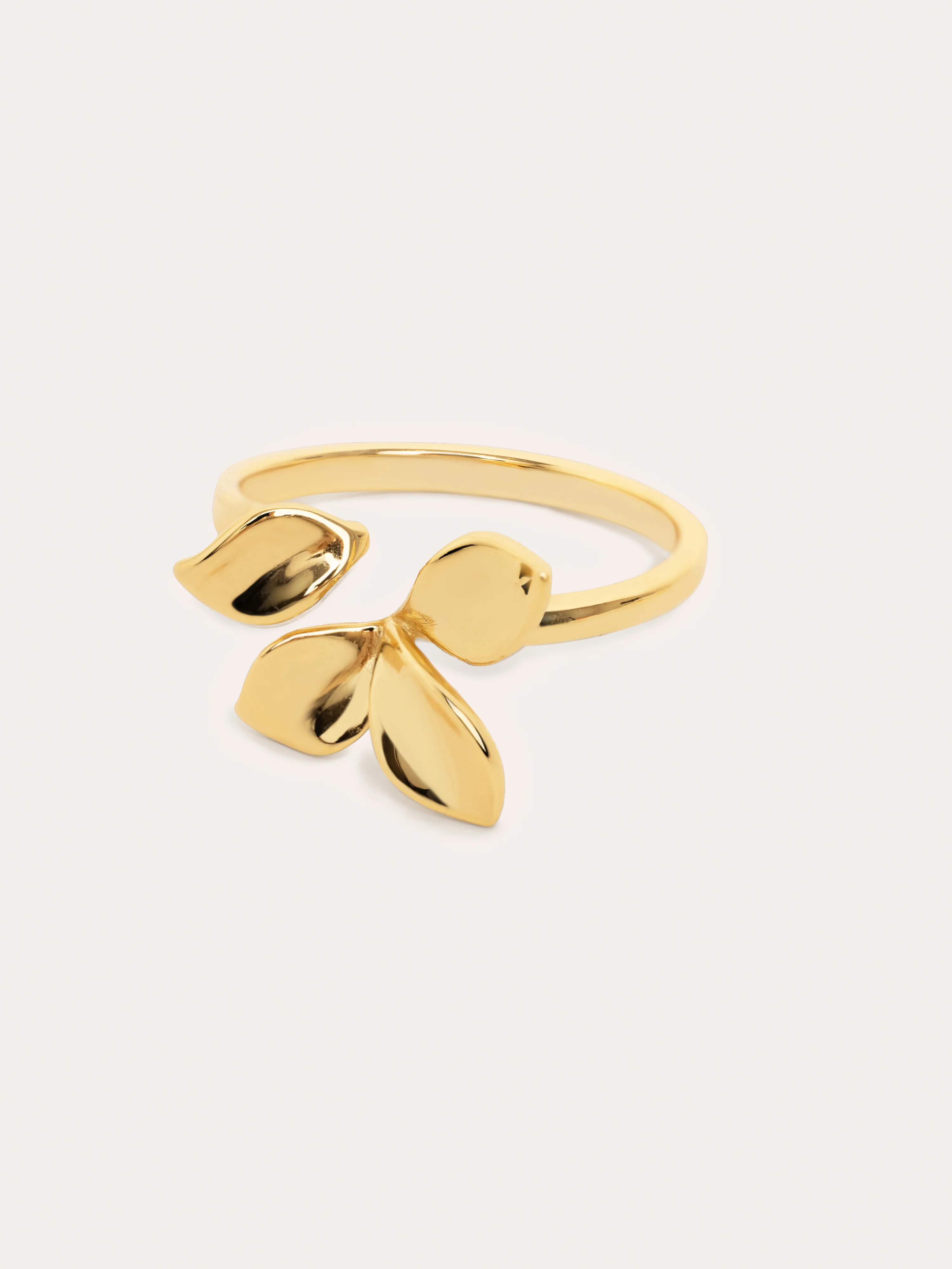 Anillo Zinnia Baño Oro - Image 3