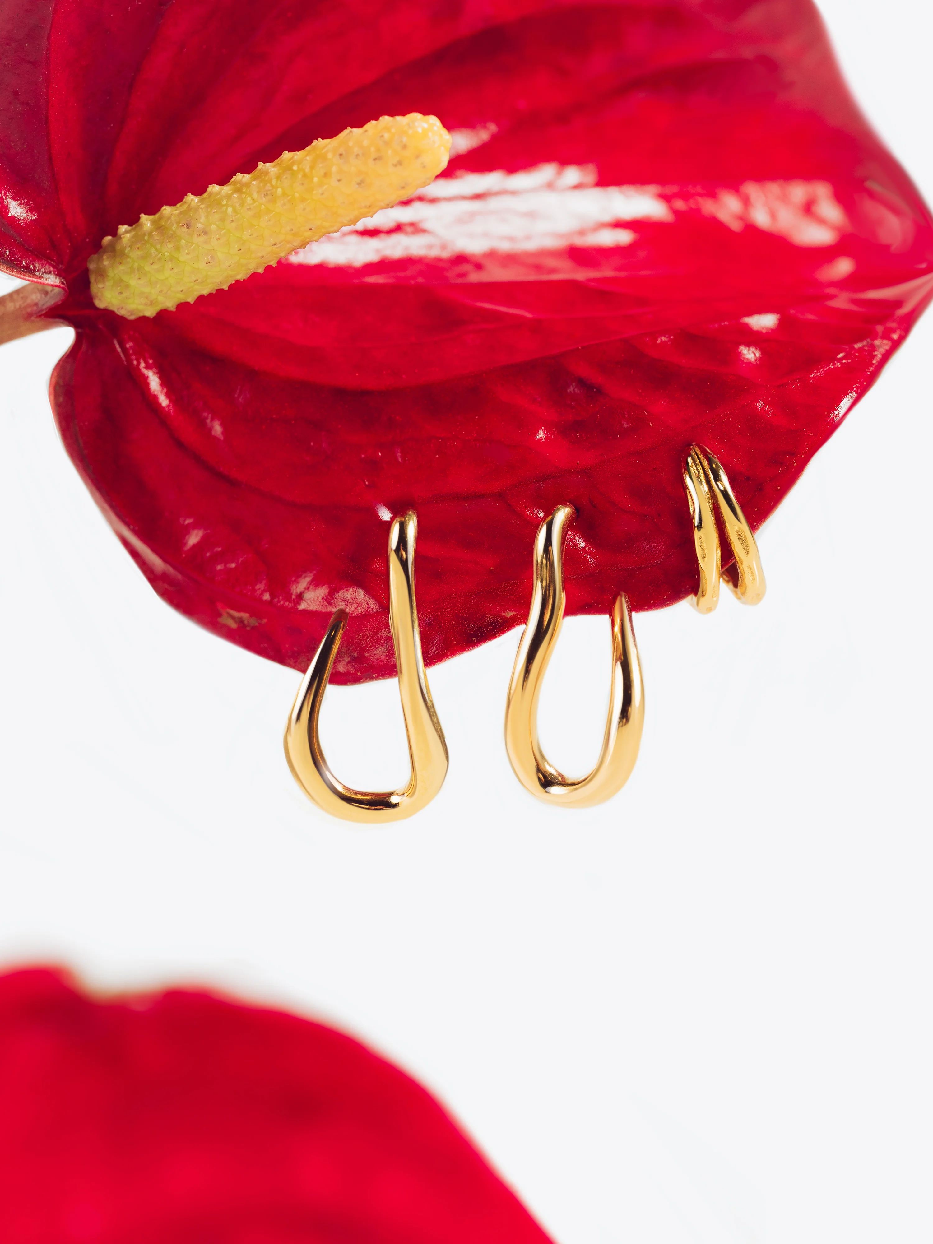 Pendientes Aro Organic Hook Acero Baño Oro - Image 4